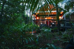 Songbirds Rainforest Retreat - Kingaroy Accommodation